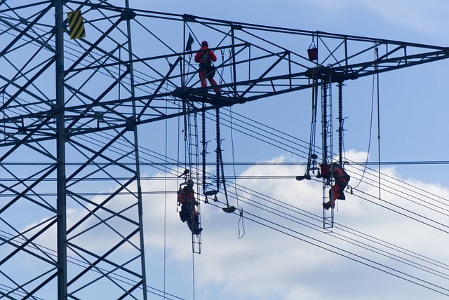 Diagnostiqueur électrique